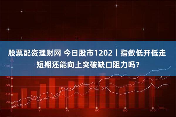 股票配资理财网 今日股市1202丨指数低开低走 短期还能向上突破缺口阻力吗？