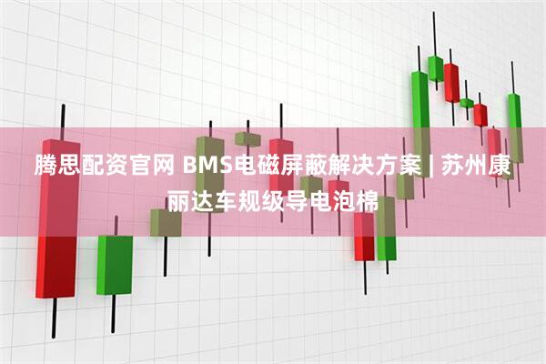 腾思配资官网 BMS电磁屏蔽解决方案 | 苏州康丽达车规级导电泡棉