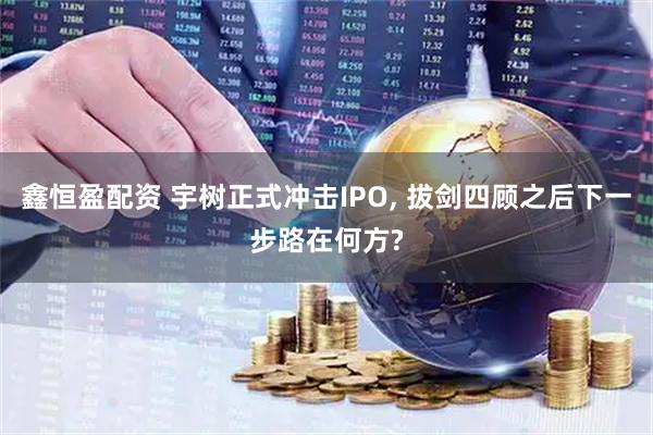 鑫恒盈配资 宇树正式冲击IPO, 拔剑四顾之后下一步路在何方?